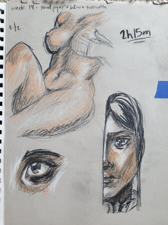 15 min Charcoal and Pastels Study ~ 2024